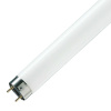 Лампа TLD люминесцентная 36/765 PHILLIPS G13 928048505451