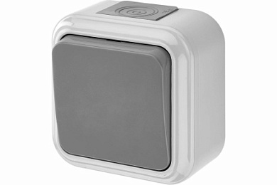 Выключатель МУРМАНСК ОП 1кл. серый